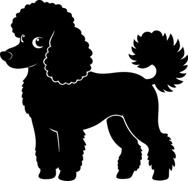 Poodle Dog silhouette vector illustration