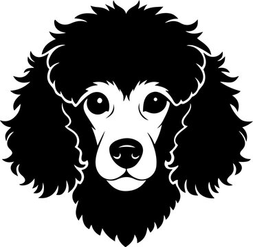Poodle Dog silhouette vector illustration