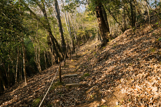 小谷城山の登山道