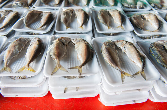 Processing and packaging of short-bodied mackerel in a small-scale factory.