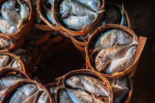 Processing and packaging of short-bodied mackerel in a small-scale factory.