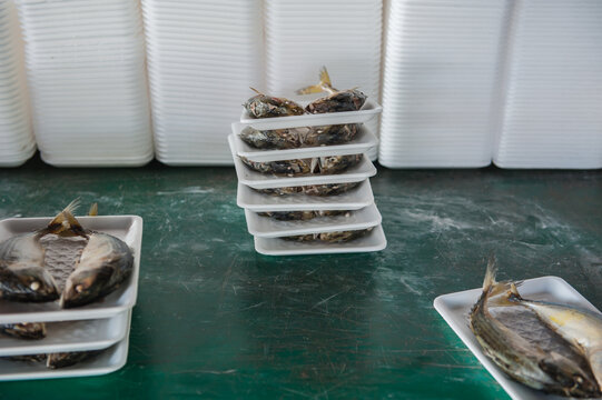 Processing and packaging of short-bodied mackerel in a small-scale factory.