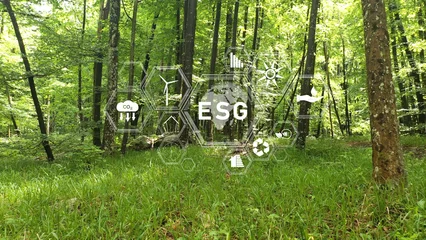 ESG eco icons in sunny green forest landscape. Concept Environment, Social and Governance.  © robsonphoto