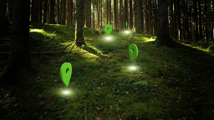 Mossy forest with illustrated Location Pin pointers. © robsonphoto