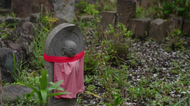大和市常泉寺の風景