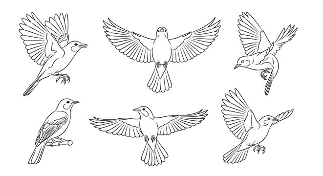 Set of flying sparrows in line art style, hand drawn bird sketches