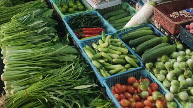 Wide selection of cabbage tomatoes daikon chili onion lime mango basil choy sum cucumbers eggplant beans mint napa cabbage and scallions on market stall. Fresh produce concept