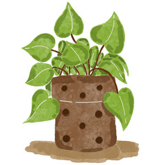 The Houseplant © amelia