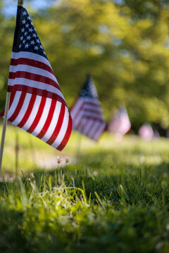 Memorial Day - flags at a military cemetery