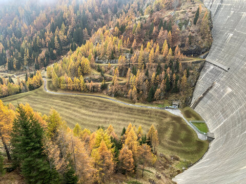Aerial view of a massive concrete dam wall and a winding mountain road surrounded by golden autumn larch trees Bosco Gurin, Ticino, Switzerland.