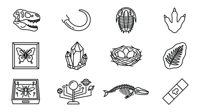 Set of museum and paleontology icons, including dinosaur skull, trilobite, footprint, butterfly, crystal, nest, fern fossil, insect display, solar system, whale skeleton and microscope slide