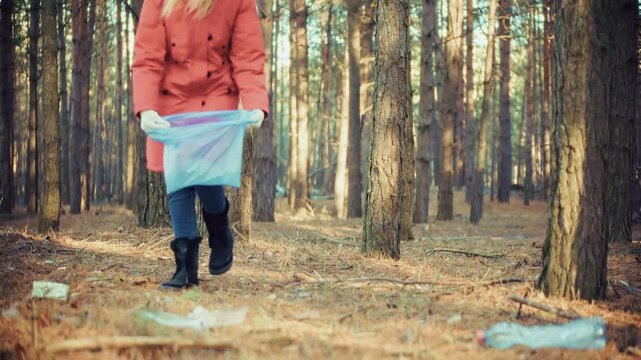 Volunteer Collecting Plastic Waste and Garbage in Autumn Forest. Environmental Cleaning Nature from Pollution