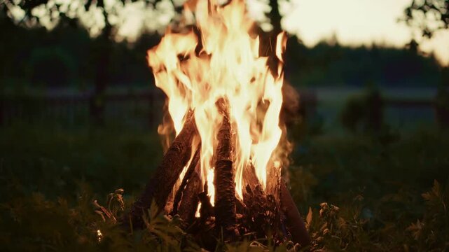 Bright Bonfire Burning at Sunset in Nature. Evening Campfire for Outdoor Recreation 