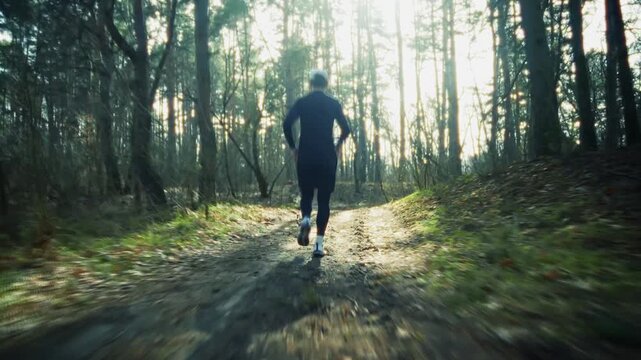Jogging on Forest Trail. Athlete Training in Sunny Woods. Cross Country Exercising