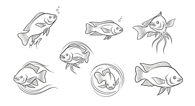 Cichlid Fish Collection Sketch Set, Hand-Drawn Aquatic Illustration