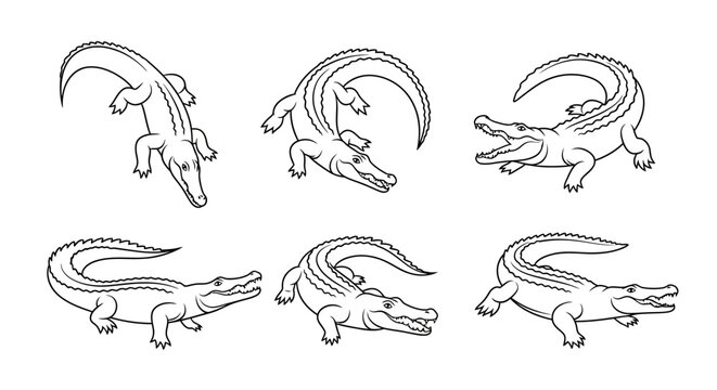 Set of Hand-Drawn Crocodiles in Various Poses, Outline Illustrations