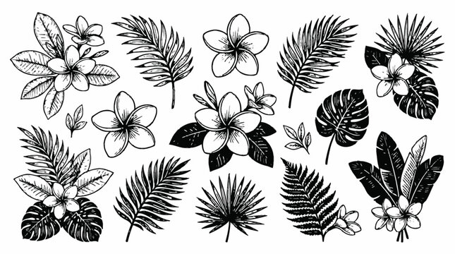 Vintage black and white tropical flower and palm leaf vector set, botanical jungle foliage illustration icons. Monochrome floral silhouettes for summer prints, decor