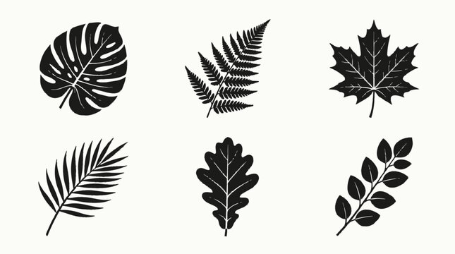 Minimalist black tropical leaf silhouette icons vector set, botanical foliage pictograms in flat monochrome style, jungle plant symbols for logo, pattern, packaging, UI
