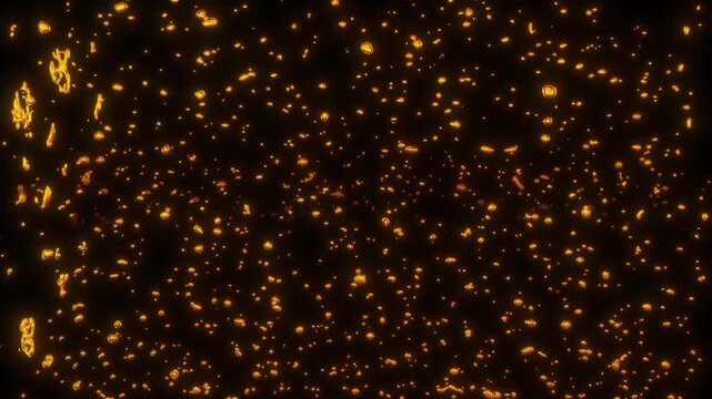 Gold Underwater Bubble Particle Background Loop animation