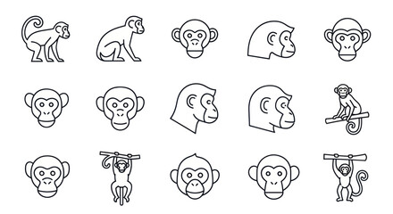 Monkey Icon Set: Various Poses and Views, Line Art Collection © Muhammad