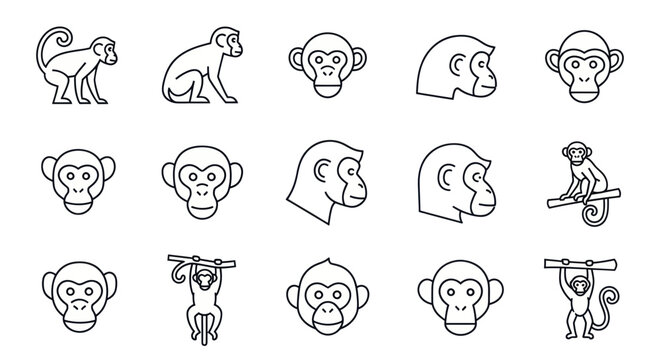 Monkey Icon Set: Various Poses and Views, Line Art Collection