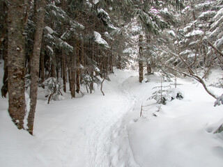 Fototapeta premium Mount Yatsugatake and Mount Akadake in the Snowy Mountains