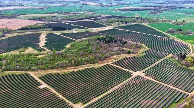 Aerial perspective of solar panels surrounding a central grove of trees in a patchwork landscape. Ideal for illustrating sustainable energy solutions and environmental projects.