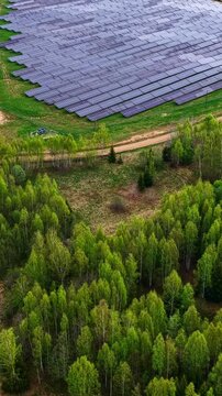 Wide rows of solar panels extend across lush fields and adjacent woodlands, capturing sunlight. Ideal for illustrating renewable energy projects or environmental documentaries.