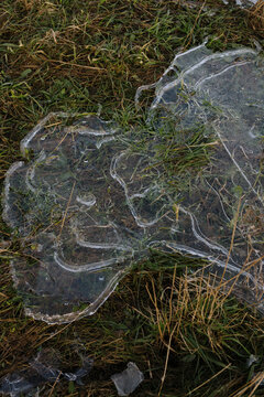 Close up of thin frozen ice crust over grass on a flooded field, late autumn or early spring