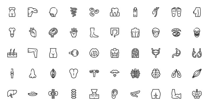 Human body icon set. Minimalist anatomy vector icons. Featuring female body, male body, heart, brain, lungs, stomach, kidneys, spine, eye, ear, nose, tongue, skin, hair, bones, muscles, organs and mor