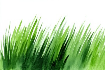 Fototapeta premium Vibrant green grass blades on white background