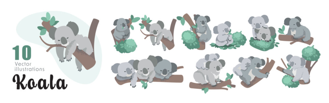Koala Vector Illustration Set