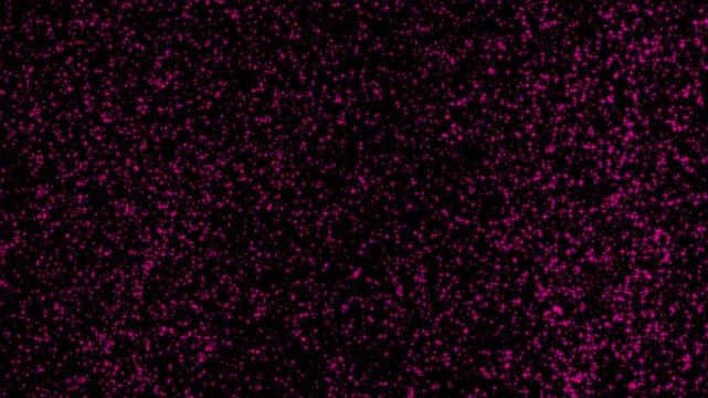 Abstract pink particles on black background dots pattern art texture effect
