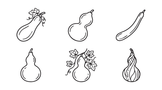 Hand drawn illustrations of different gourd varieties with vines bottle gourd calabash vegetable illustration handdrawn ingredient culinary minimalist isolated background blackandwhite