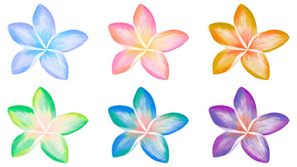 Vibrant Tropical Plumeria Flowers Set with Transparent Background © DeepPixel