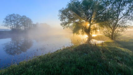 A serene morning landscape featuring a misty river, lush green grass, and golden sunlight streaming through the branches of trees. © Александр Арендарь