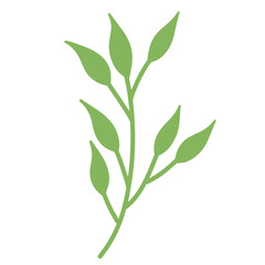 Fototapeta premium Minimalist Green Leaf Stem Illustration for Organic Branding