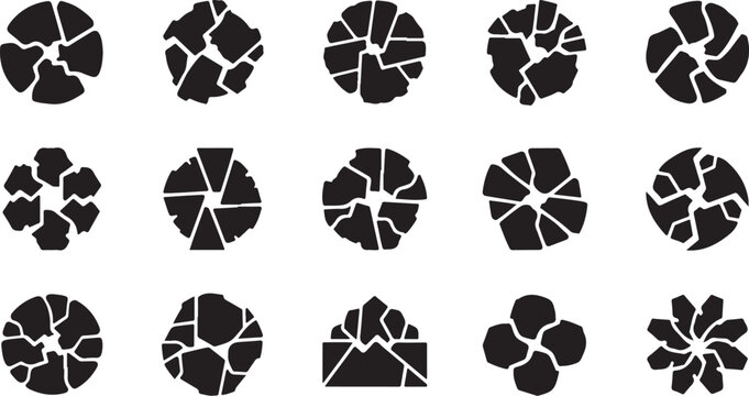 Black and white ammonite fossil icons collection