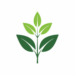 Obraz premium Stylized Green Plant Leaves Logo