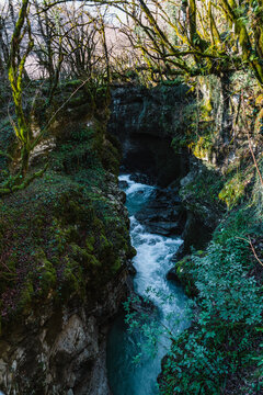 A narrow stream flows through a shaded moss-covered gorge in Martvili Canyon, surrounded by steep rock walls, leafless branches, and dense forest in western Georgia.