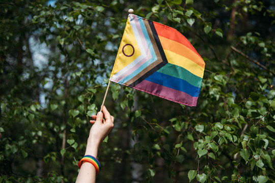 Hand holds inclusive pride flag against foliage. lgbt pride parade, queer cultural celebration, dynamic pride march, community gathering.