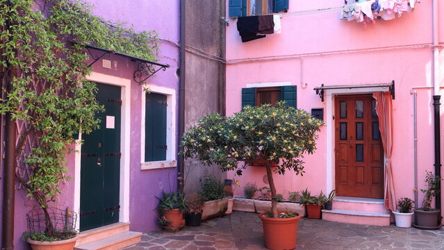 Burano bellissimo vicolo con case colore rosa e viola e piante