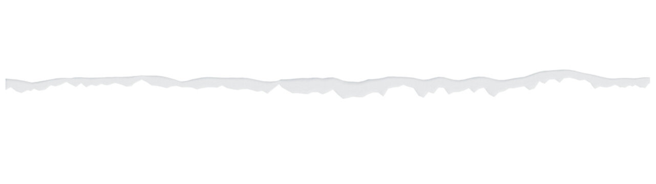 3D realistic white torn paper strip with ripped edge isolated on white background, Minimalist paper scrap divider for scrapbook and digital design 3D render