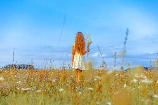 Girl in yellow dress walking through a golden summer field