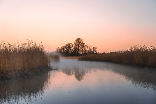 Misty river landscape with reeds and soft sunrise reflection at dawn