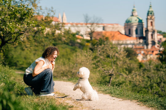 Woman interacts with Bichon Frise dog in Prague on a sunny day