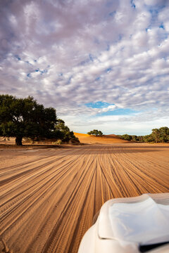 Vehicle Hood Framing Sand Dunes,