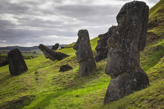 Moai stone statues on a grassy Easter Island hillside