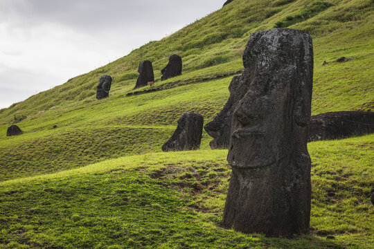 Easter Island Moai statues on a green hill