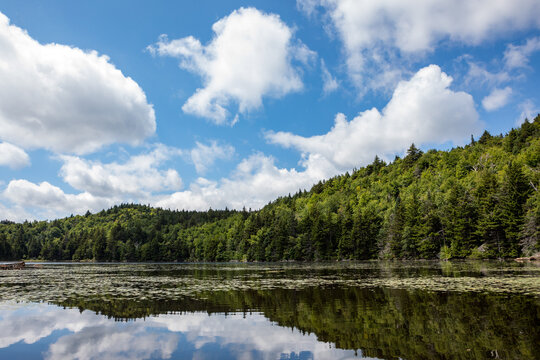 Forested hill and puffy clouds reflect on a calm lake